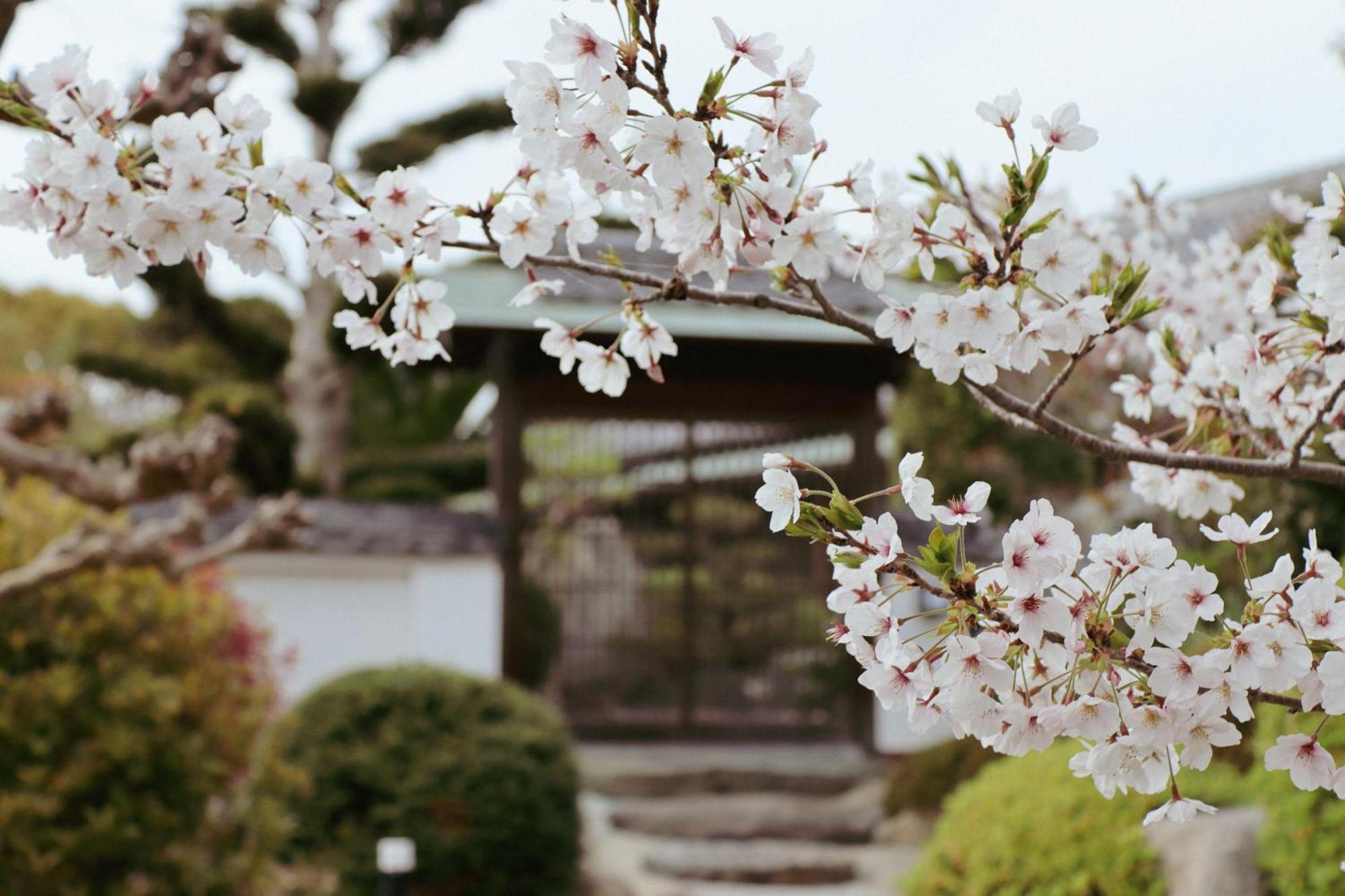 Villa Shinobi -忍- Hinase Dış mekan fotoğraf